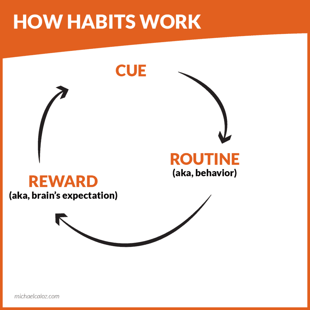 The cue-routine-reward loop