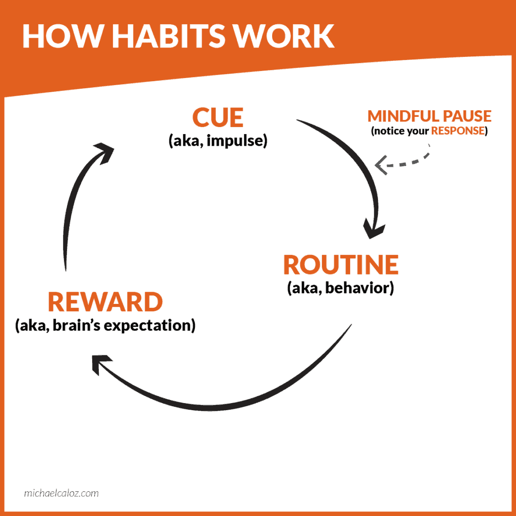 The cue-routine-reward loop plus the mindful pause